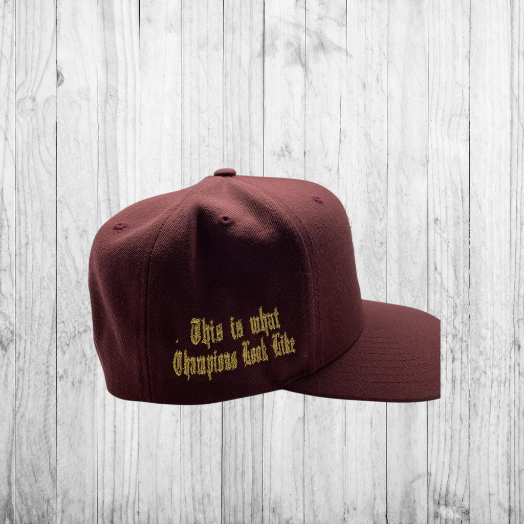 **LIMITED EDITION**World Series Y Snapback