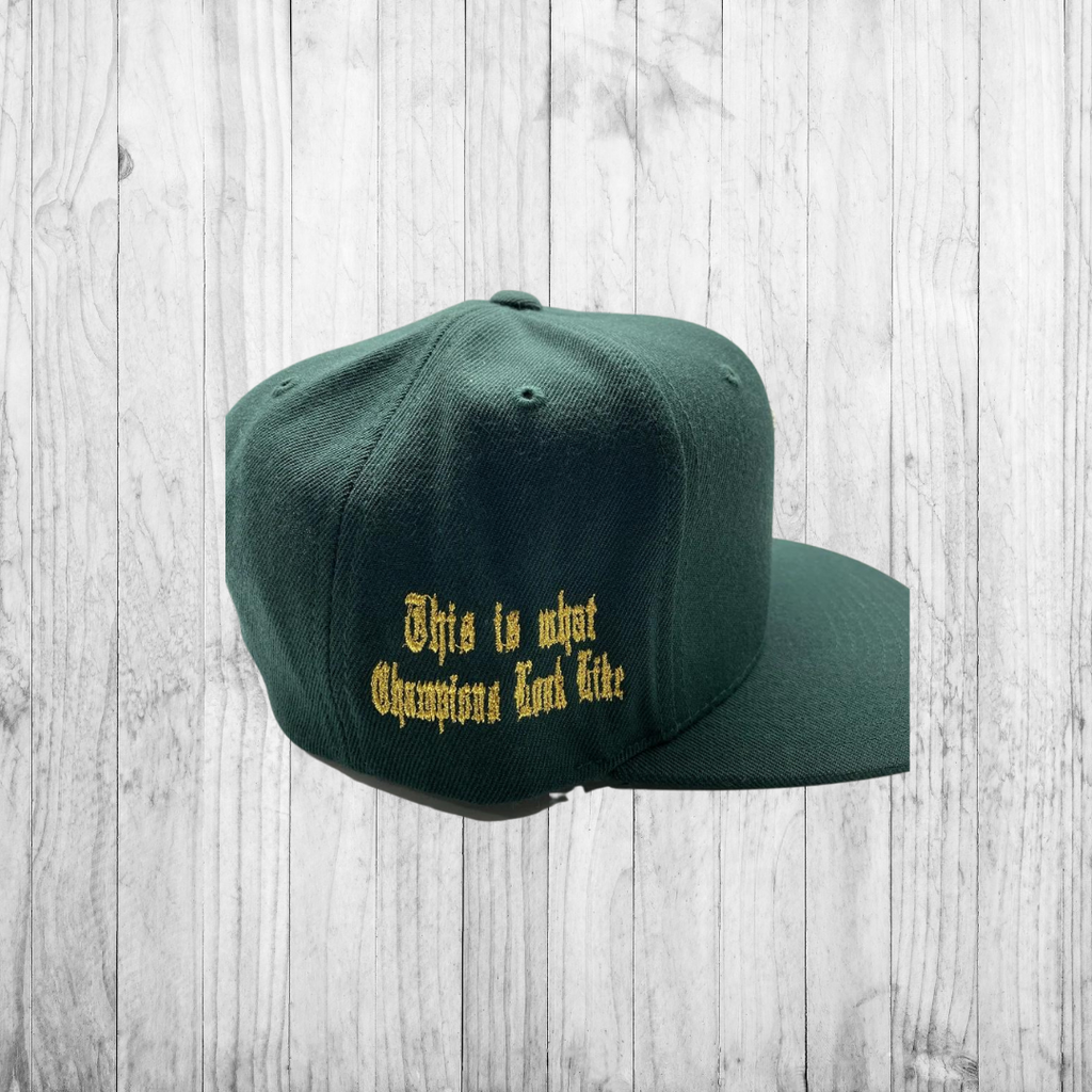 **LIMITED EDITION**World Series Y SnapBack