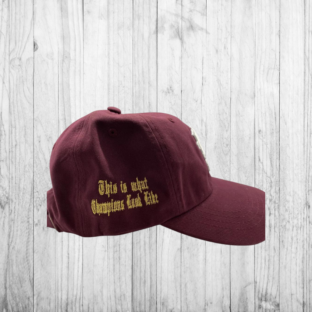 “LIMITED EDITION” World Series Dad hat
